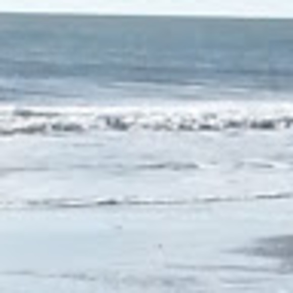 Meet your Posher, Faithe - Picture 1 of 1